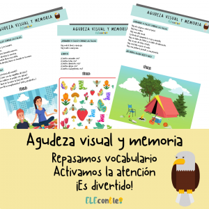 Agudeza visual